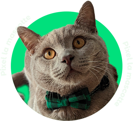 Ritratto di Pixel, il gatto mascotte di WebTea